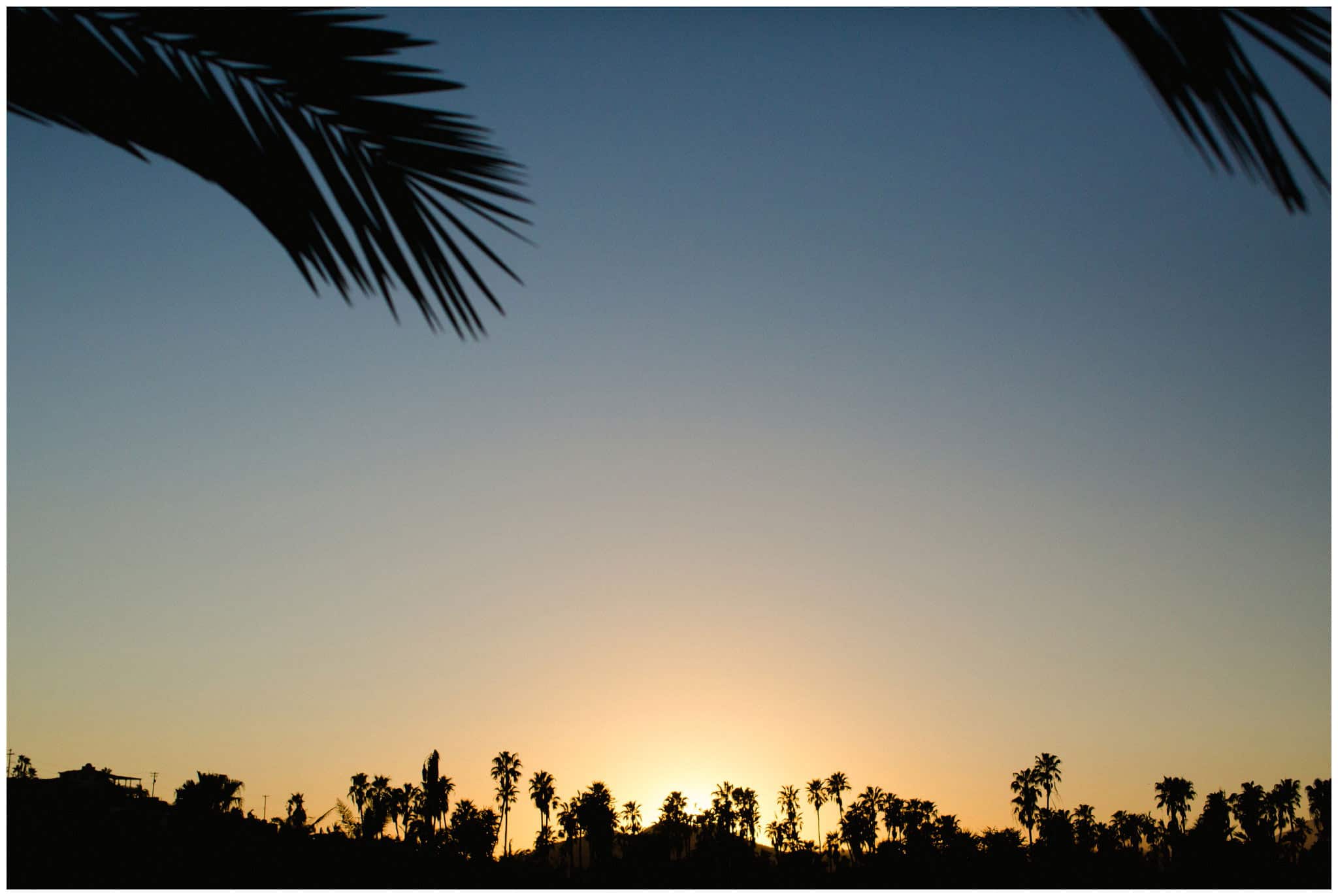 Cabo-Photographer---Sara-Richardson-3621